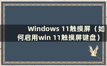 Windows 11触摸屏（如何启用win 11触摸屏键盘）